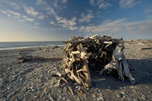 Room with a view - simple shelter built of tree trunks, driftwood and branches on the beach Room with a view - simple shelter built of tree trunks, driftwood and branches on the beach