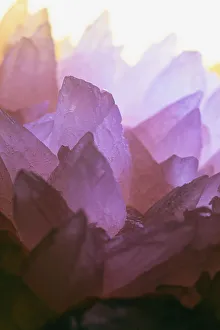 Ancient Collection: Rose Quartz Date: 12-04-2019