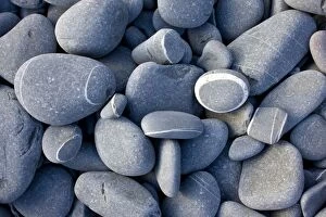 Images Dated 11th May 2011: Rounded sandstone beach pebbles - at Hartland Quay - north Devon - UK