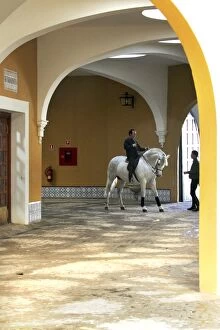 Andalusian Gallery: The Royal Andalusian School of Equestrian Art (The)