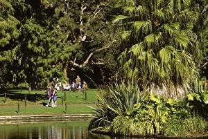 Botanic Gallery: Royal Botanic Gardens central pond Sydney