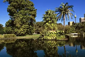 Royal Botanic Gardens with city and Sydney Tower beyond central pond, Sydney, New South Wales, Australia JPF50205