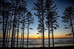 Tall Collection: Ruby Beach, Forks, Washington State, USA. Olympic National Park Date: 19-03-2020