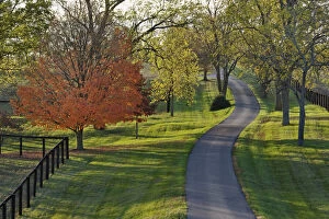 Rural road through Bluegrass region of Kentucky
