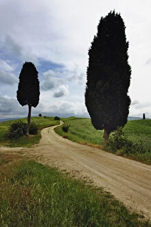 Rural road between two cypress trees, Tuscany