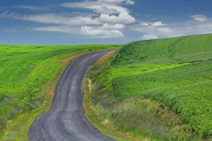 Road Collection: Rural road through rolling wheat fields, Palouse region of eastern Washington State