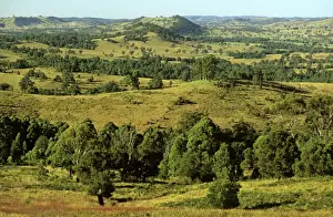 Rural scene Upper Hunter Valley, New South Wales, Australia JPF52676