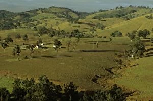 Images Dated 16th January 2009: Rural scene upper Hunter Valley, New South Wales, Australia JPF52672