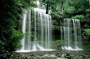Images Dated 24th February 2006: Russell Falls - drops more than 40m into a cool gorge Mount Field National Park, Tasmania, Australia