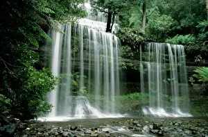 Waterfalls Prints: Russell Falls - drops more than 40m into a cool gorge Mount Field National Park