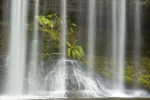 Russell Falls - detail of the falling water veil in temperate rainforest