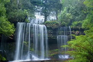 Waterfalls Prints: Russell Falls - stunning waterfall amidst lush temperate rainforest