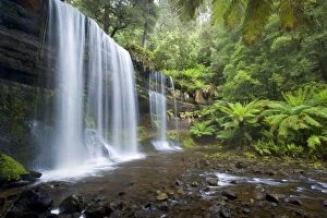 Images Dated 7th December 2008: Russell Falls - waterfall amidst temperate rainforest