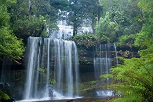 Australasian Gallery: Russell Falls - waterfall amidst temperate rainforest