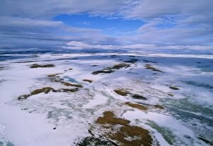 RUSSIA - Arctic tundra, melting snows, tundra of Taimyr peninsula near Kara Sea