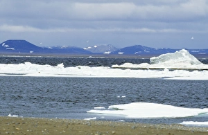 Images Dated 22nd December 2005: Russia - Ice in Arctic Sea North East Siberia
