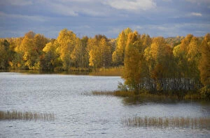 Russia, Karelia, Lake Onega shoreline, RESTRICTED