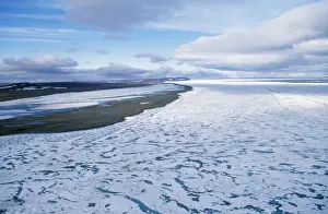 Russia North East Siberia, Wrangle Island, with pack ice
