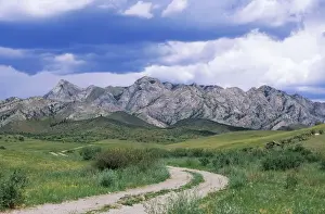 Russia - road to mountain Hairakan-Dag (sacred place for Tuvinians, with a sacred water spring on its slope) in Sengilen mountain range June; South Tuva, Russia Tu32. 3096