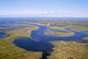 Russia - Semi-tundra view, Taiga river near Pyasina Lake, Russian Arctic
