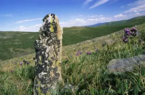 Lichens Prints: Russia - view with lichen covered stone (naturally erected) in Sengilen mountain range June; South Tuva