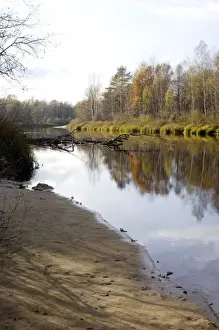Russian Desman - habitat. River Pra, a tributary of river Oka - one of habitats of Russian Desman; territory of Okski Biospheric Nature Reserve; Central Russia, 50 km East from Ryazan town; autumn in October Ok39. 0001