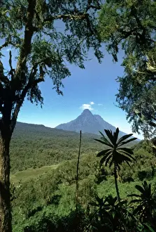 Central Africa Prints: Rwanda AW 5704 Virunga Volcanoes