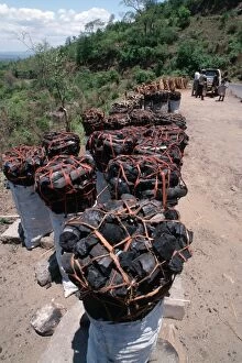 Images Dated 15th December 2005: Sacks of charcoal & fuelwood for sale, Malawi charcoal production is causing severe deforestation