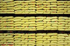 Images Dated 25th August 2009: Sacks of rice stacked on shelves, ready for export Deniliquin, New South Wales, Australia JLR01548