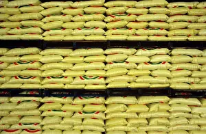 Harvests Prints: Sacks of rice stacked on shelves