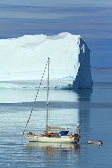 Images Dated 19th August 2013: Sailing Boat with iceberg in the background Arctic Summer