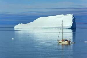 Images Dated 19th August 2013: Sailing Boat with iceberg in the background Arctic Summer