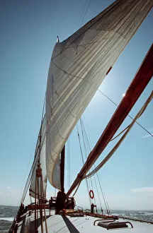 Boat Collection: Sailing-boat on sunny day Wadden, Netherlands