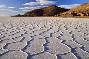 Crack Prints: Salar de Uyuni - polygonal salt pattern on dried up salt lake in late evening light - Salar de Uyuni - Altiplano