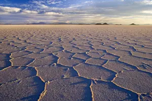 Barren Prints: Salar de Uyuni - polygonal salt pattern on dried up salt lake at sunset - Salar de Uyuni - Altiplano - Bolivia - South