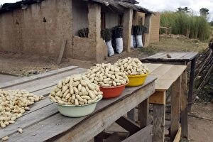Images Dated 15th April 2006: Sale of peanuts at roadside Zambia, Africa