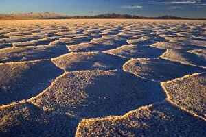 Images Dated 20th May 2010: Salinas Grandes del Noroeste - mountains and dried-up salt lake showing a regular polygonal