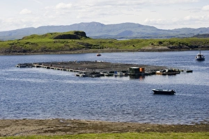 Images Dated 27th June 2006: Salmon farm near Craignure, Isle of Mull, Scotland