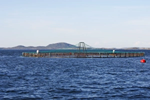 Images Dated 29th July 2008: Salmon fish farm - Flatanger - Norway