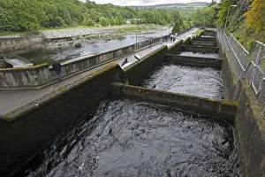 Electric Prints: Salmon ladder at Pitlochry hydroelectric dam and power station, Scotland UK