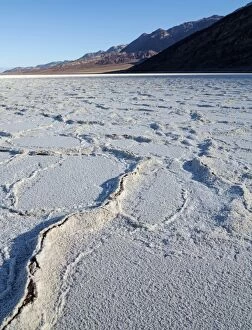 Images Dated 1st April 2012: Salt crusts at the Badwater Basin salt flats in