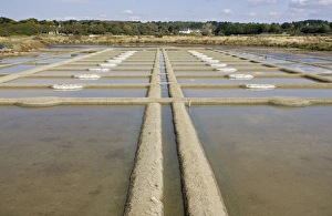 Images Dated 19th September 2007: Salt marsh and evaporation pans Guerande Brittany France