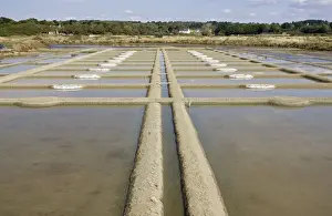 Commerical Prints: Salt marsh and evaporation pans Guerande Brittany France
