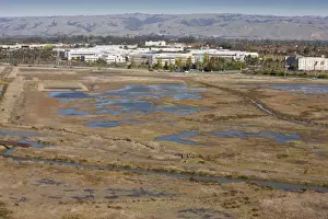 Lagoons Prints: Saltmarsh, pools and lagoons at Don Edwards San Francisco Bay National Wildlife Refuge