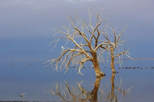 Images Dated 13th January 2007: Salton Sea Southern California, USA