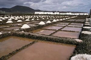 Images Dated 19th July 2006: Saltpans Guatiza, Lanzarote, Canary Islands