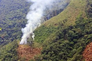 Images Dated 13th February 2006: San Isidro Tropical Rainforest - deforestation - burning & cutting trees. Andes - Merida - Venezuela