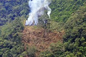 Images Dated 13th February 2006: San Isidro Tropical Rainforest - deforestation - burning trees. Andes - Merida - Venezuela