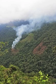 Images Dated 13th February 2006: San Isidro Tropical Rainforest - deforestation - burning & cutting trees. Andes - Merida - Venezuela