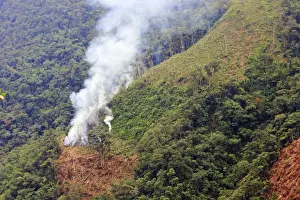 Smoking Prints: San Isidro Tropical Rainforest - deforestation - burning & cutting trees